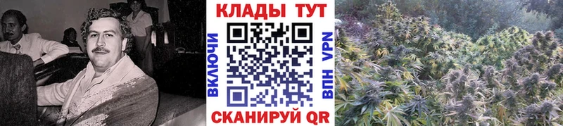 Сколько стоит Уссурийск Канабис COCAIN ГАШИШ