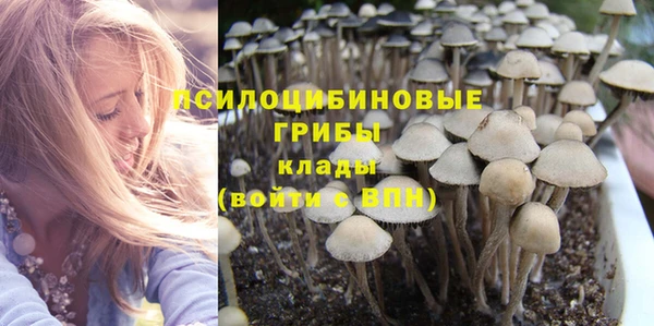 прущие крисы Алексеевка