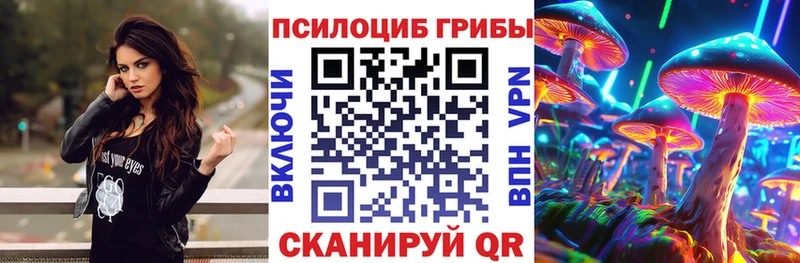blacksprut рабочий сайт  Уссурийск  Галлюциногенные грибы Magic Shrooms 