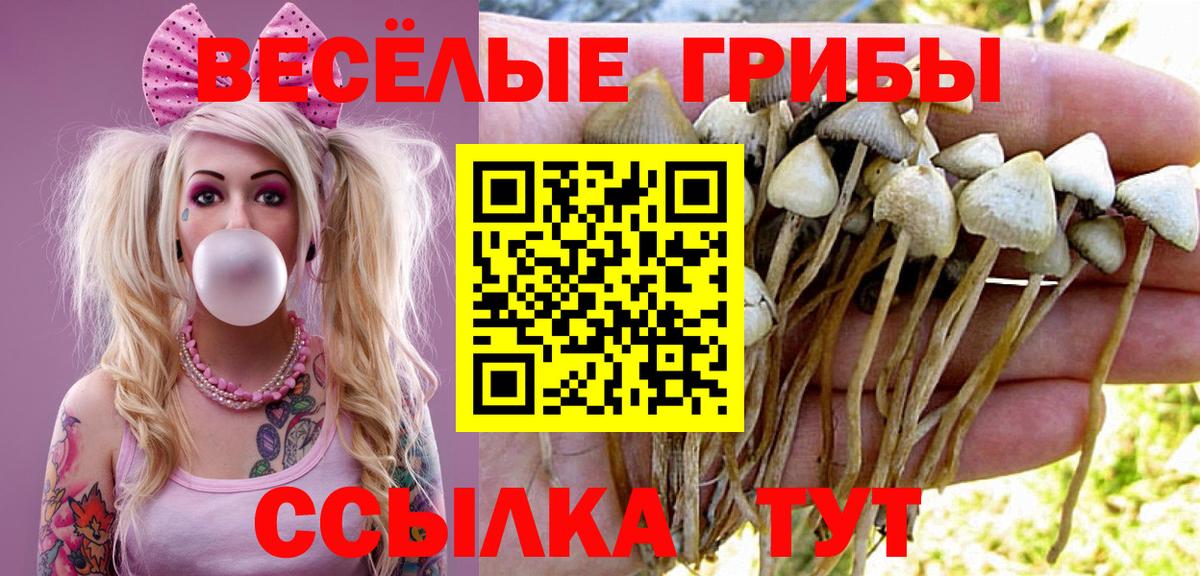 Уссурийск  Псилоцибиновые грибы мухоморы  Вход с VPN  Псилоцибиновые грибы мицелий 