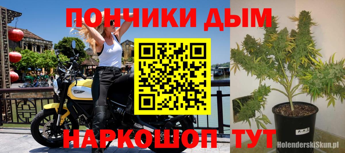 Шишки марихуана THC 21%  Вход с VPN  Бошки марихуана Ganja  Уссурийск  Марихуана сатива 